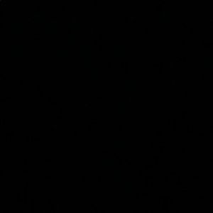 Meet your Posher, Brooklyn